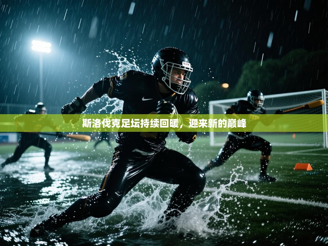 斯洛伐克足坛持续回暖,迎来新的巅峰 第1张