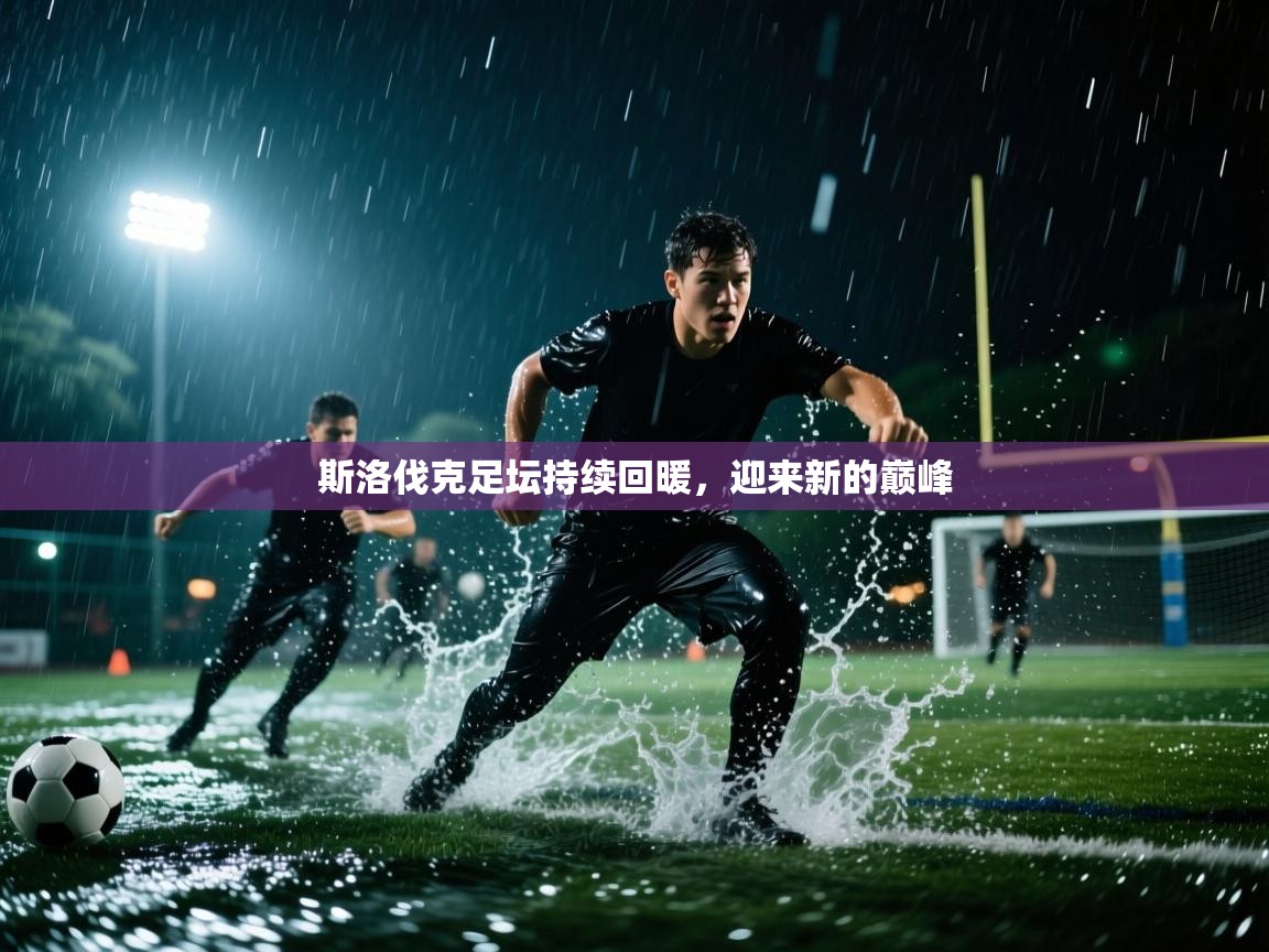 斯洛伐克足坛持续回暖,迎来新的巅峰 第2张